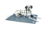 Scruffs Cooling Mat grey