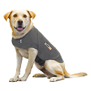 Thundershirt