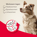 Beaphar Wormtabletten All-in-One hond 2,5 - 40 kg 4 st