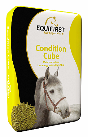 EquiFirst Condition Cube 20 kg