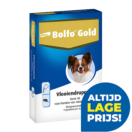 Bolfo Gold 40 hond <br>4 pipetten