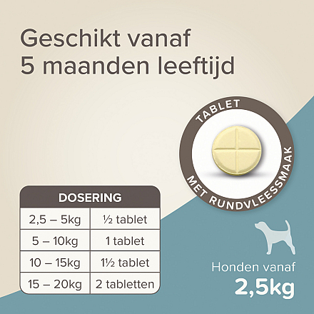 Beaphar Wormtabletten All-in-one hond 2,5 - 20 kg 2 tabletten