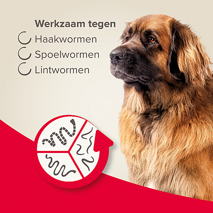 Beaphar Wormtabletten All-in-One hond 17,5 - 70 kg 2 st