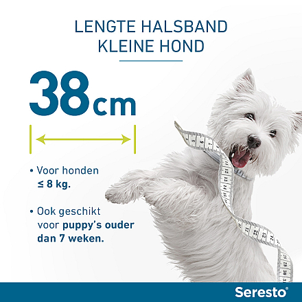 Seresto band voor kleine honden